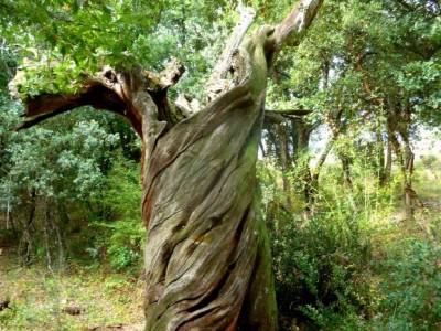 El Bierzo;Busmayor;León;río bidasoa rutas guadalajara ruta por toledo